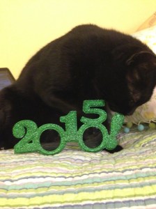 new year sucking already